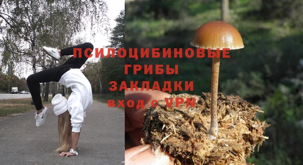 ECSTASY Иннополис