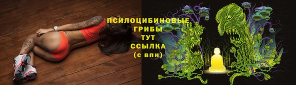 трава Абдулино
