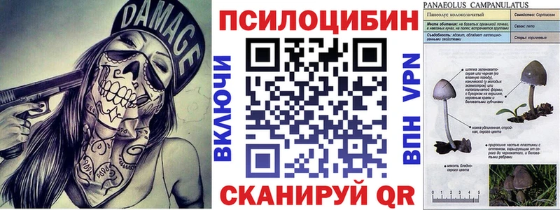 Псилоцибиновые грибы мухоморы  купить наркотик  Иноземцево 